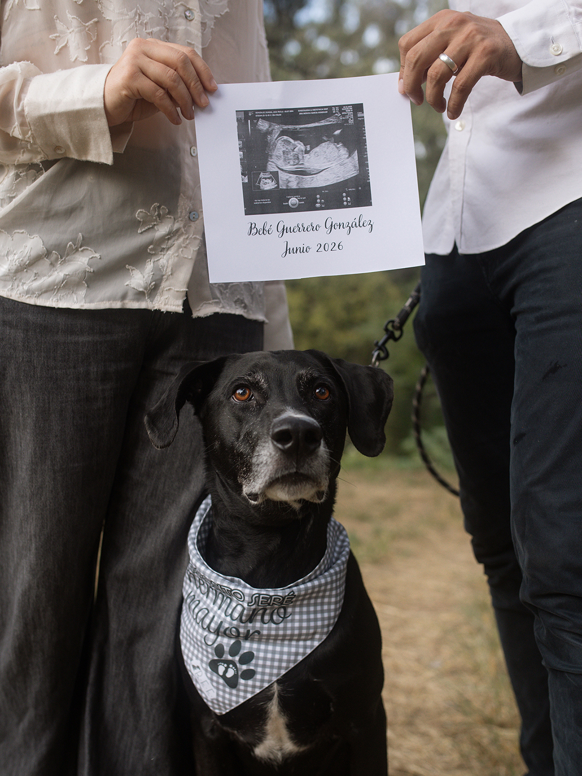 Sesión fotográfica de revelación de embarazo con mascota